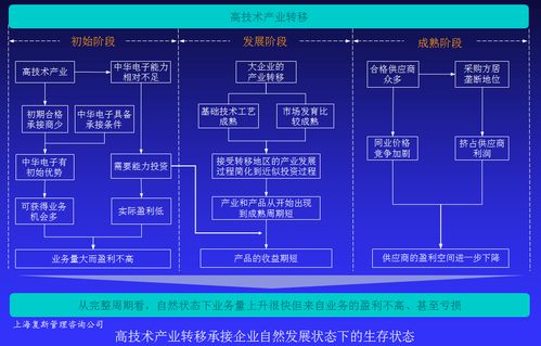 高技術產品企業盈利能力提升案例Ⅳ 以戰略咨詢為基點，驅動技術賦能與價值變現